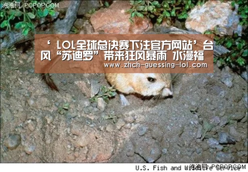  LOL全球总决赛下注官方网站