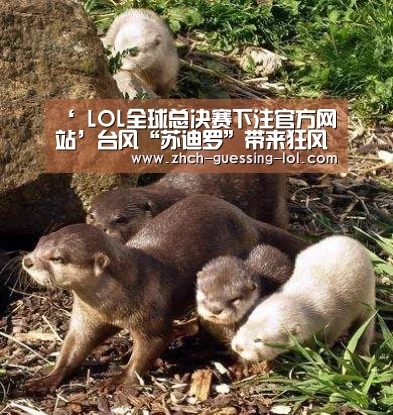  LOL全球总决赛下注官方网站