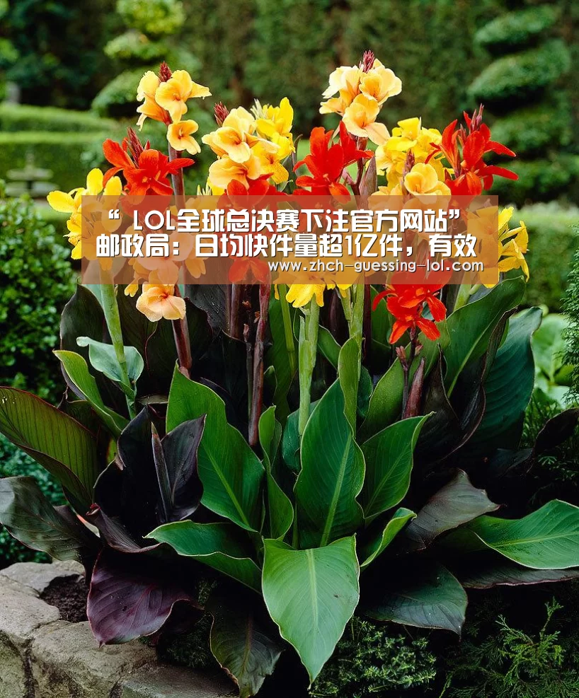 英雄联盟竞猜大厅 
