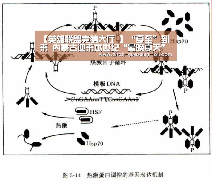 【英雄联盟竞猜大厅 】“夏至”到来 内蒙古迎来本世纪“最晚夏天”(图2) 英雄联盟竞猜大厅