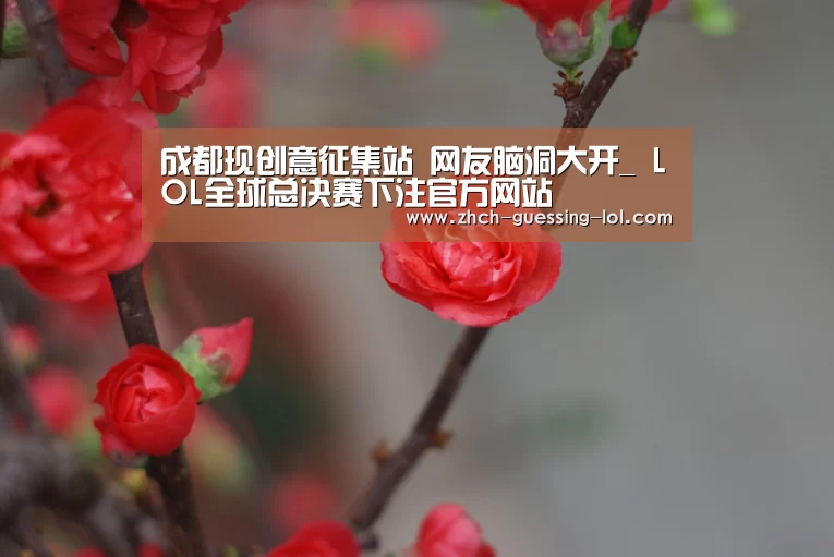 成都现创意征集站 网友脑洞大开_ LOL全球总决赛下注官方网站(图1) 英雄联盟竞猜大厅